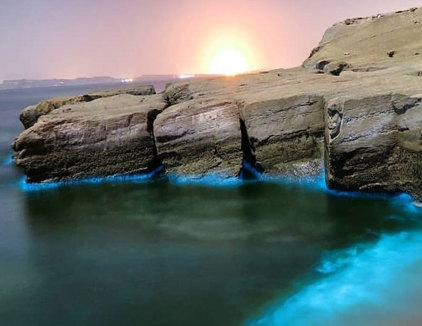 تور هندورابی