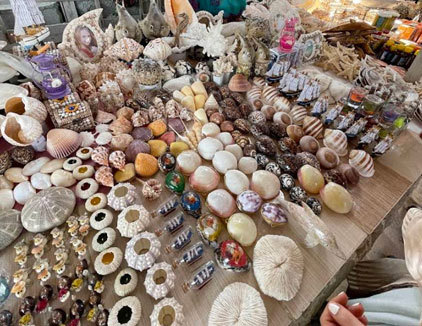 تور جزیره هنگام