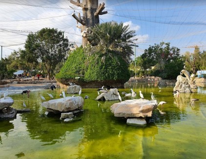 گشت دور جزیره کیش