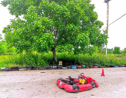 کارتینگ مجموعه هفت اقلیم فومن