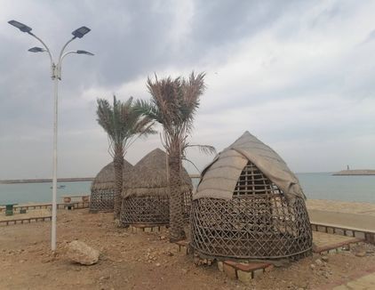 تور گشت جزیره لارک