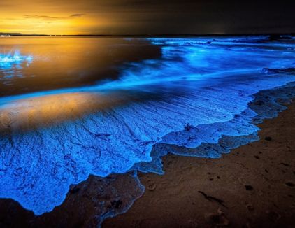 تور گشت جزیره لارک