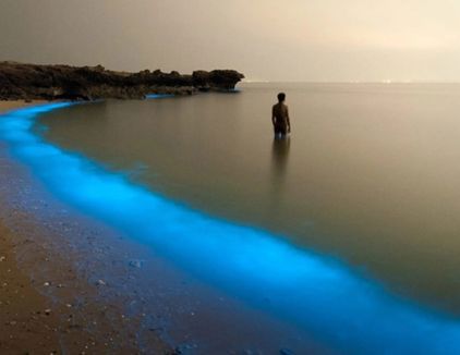 تور گشت جزیره لارک