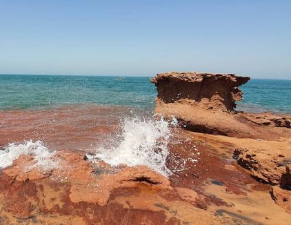 تور گشت جزیره لارک