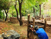 مجموعه لیزرتگ و پینت بال جنگلی سراوان رشت