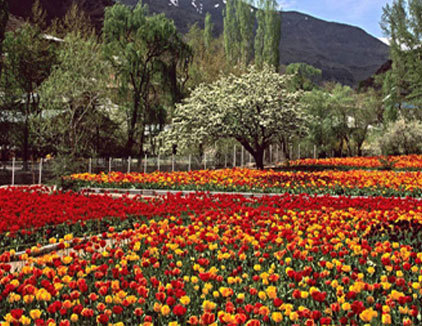 باغ گیاه شناسی ملی ایران (تهران)