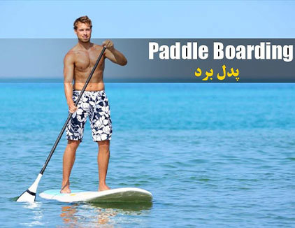 پدل برد بوشهر