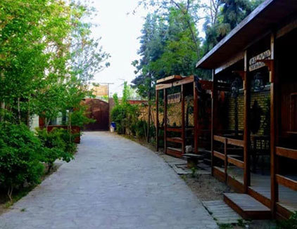 اسب سواری پارمیدا مشهد