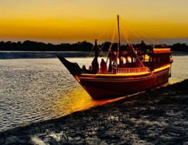 تور تفریحی جنگل حرا قشم