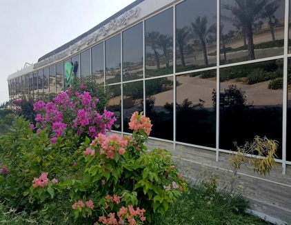 رستوران سالود کیش
