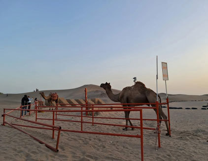 کمپ کویری شباهنگ یزد