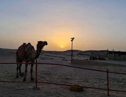 کمپ کویری شباهنگ یزد