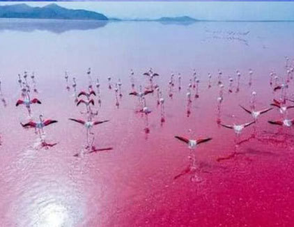 پرواز تفریحی شیراز