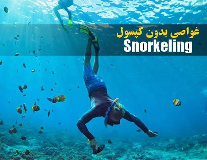اسنورکلینگ بوشهر