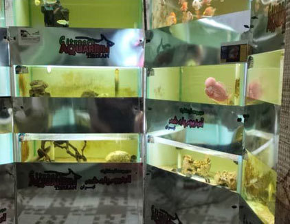 مجموعه گردشگری آکواریوم پارک شهر تهران