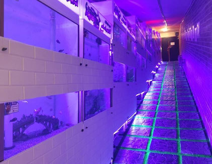 مجموعه گردشگری آکواریوم پارک شهر تهران