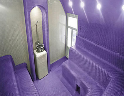 استخر دلفین آبی تهران