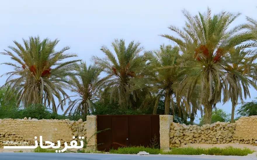 جاهای دیدنی کیش