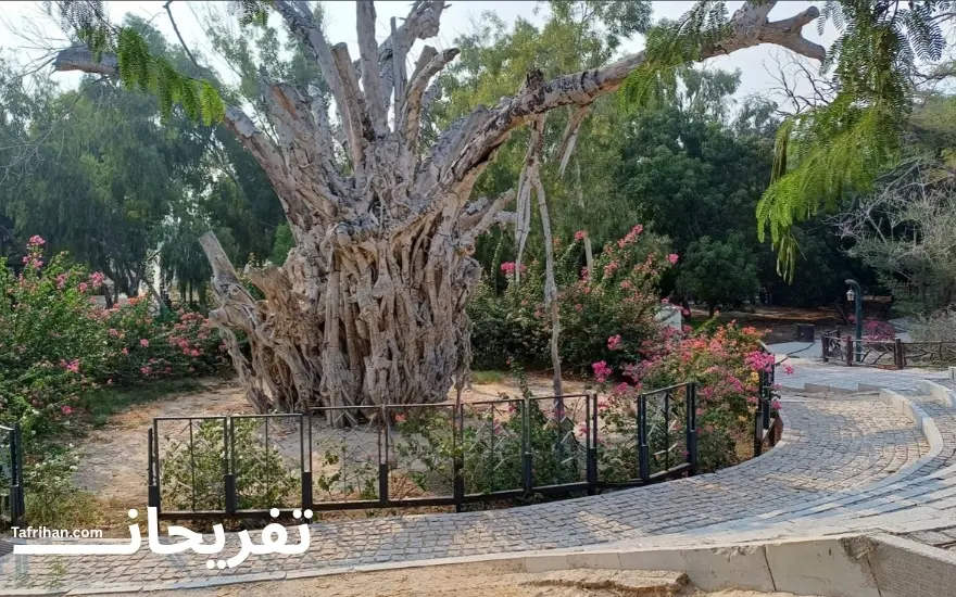 جاهای دیدنی کیش