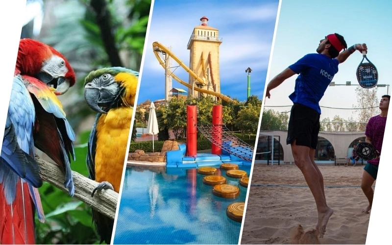 تفریحات کیش